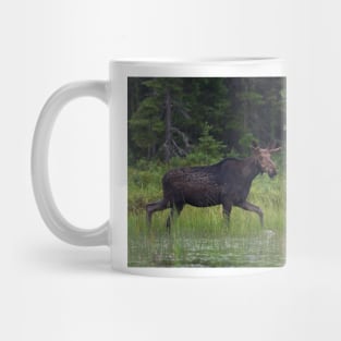 Moose on the loose, Algonquin Park, Canada Mug